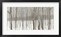 Framed Woods in Winter BW