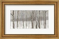 Framed Woods in Winter BW
