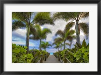 Framed Paradise Path