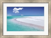 Framed Tropical Simplicity