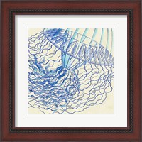 Framed Vintage Jellyfish I