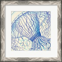 Framed Vintage Jellyfish II
