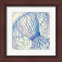 Framed Vintage Jellyfish II