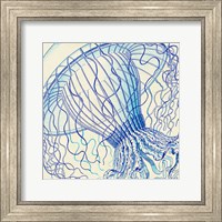 Framed Vintage Jellyfish II