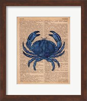 Framed Vintage Crab