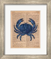 Framed Vintage Crab