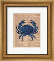 Framed Vintage Crab