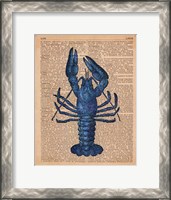 Framed Vintage Lobster