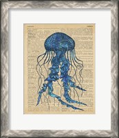 Framed Vintage Jellyfish