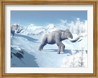 Framed Mammoths Walking Slowly on the Snowy Mountain Against the Wind