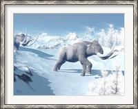 Framed Mammoths Walking Slowly on the Snowy Mountain Against the Wind