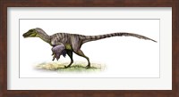 Framed Velociraptor, a Prehistoric Era Dinosaur