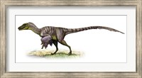 Framed Velociraptor, a Prehistoric Era Dinosaur