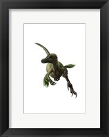 Framed Velociraptor, White Background