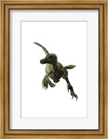 Framed Velociraptor, White Background