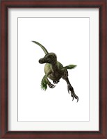 Framed Velociraptor, White Background
