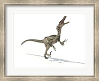 Framed Velociraptor Dinosaur
