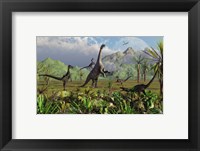 Framed Velociraptor Dinosaurs Attack a Camarasaurus