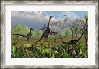 Framed Velociraptor Dinosaurs Attack a Camarasaurus