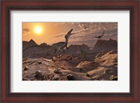 Framed Pack of Carnivorous Velociraptors from the Cretaceous Period