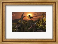 Framed Group of Feathered Carnivorous Velociraptors