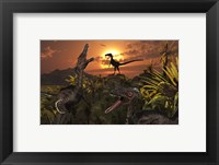 Framed Group of Feathered Carnivorous Velociraptors