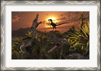 Framed Group of Feathered Carnivorous Velociraptors