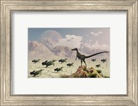Framed Protoceratops stampede in fear as a Velociraptor Watches