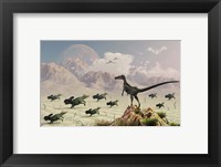 Framed Protoceratops stampede in fear as a Velociraptor Watches
