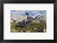 Framed Pack of Velociraptors