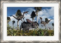 Framed Velociraptors Attack a Lone Protoceratops