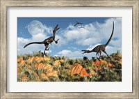 Framed Velociraptors involved in a Territorial Dispute