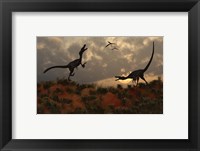 Framed Pair of Velociraptors