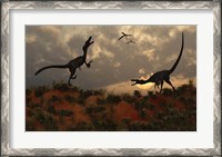 Framed Pair of Velociraptors