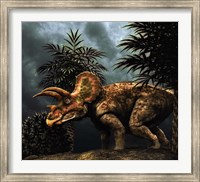 Framed Triceratop, Herbivorous Dinosaur from the Cretaceous Period
