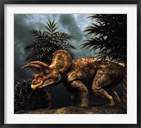 Framed Triceratop, Herbivorous Dinosaur from the Cretaceous Period