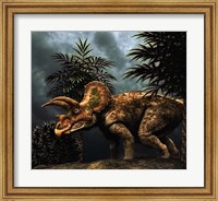 Framed Triceratop, Herbivorous Dinosaur from the Cretaceous Period