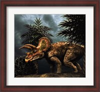 Framed Triceratop, Herbivorous Dinosaur from the Cretaceous Period