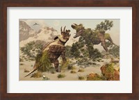 Framed Living fossils of a Triceratops and a T-Rex Confronting Each Other