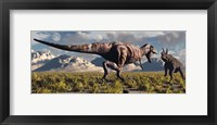 Framed T- Rex and Triceratops meet for a Battle 3
