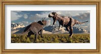 Framed T- Rex and Triceratops meet for a Battle 4