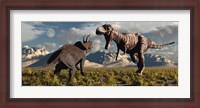 Framed T- Rex and Triceratops meet for a Battle 4