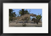 Framed Ceratosaurus Hunting down a Triceratops