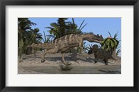 Framed Ceratosaurus Hunting down a Triceratops