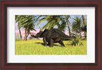 Framed Triceratops Dinosaur 10