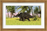 Framed Triceratops Dinosaur 10
