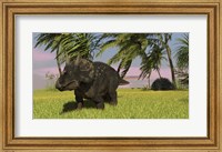 Framed Triceratops Dinosaur 11