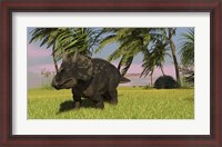 Framed Triceratops Dinosaur 11