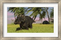 Framed Triceratops Dinosaur 11