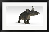 Framed Triceratops Dinosaur 2